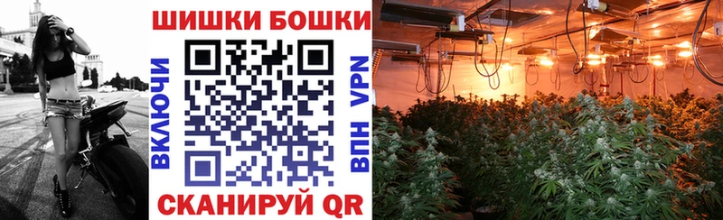 Бошки Шишки THC 21%  Купить  Ангарск 